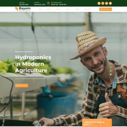 ThemeForest Bayem