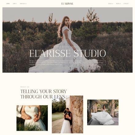 ThemeForest Elarisse