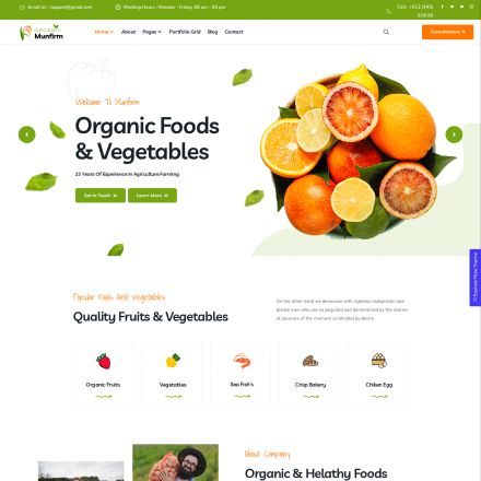 ThemeForest Munfirm
