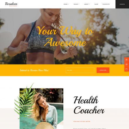 ThemeForest Rosaleen