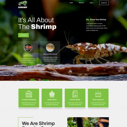 ThemeForest Shrimp