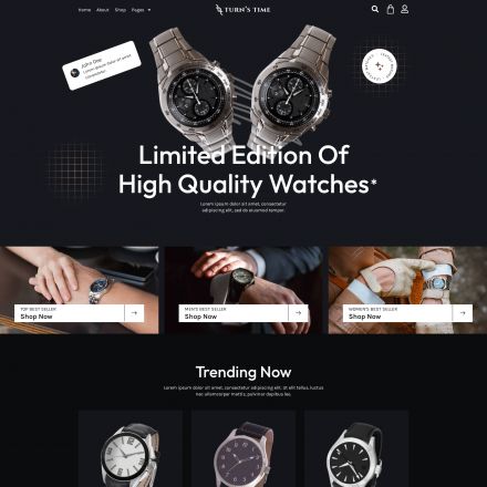 ThemeForest Turnstime