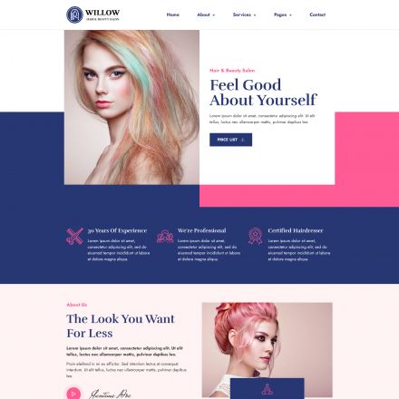 ThemeForest Willow