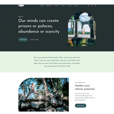 ThemeForest Ziga