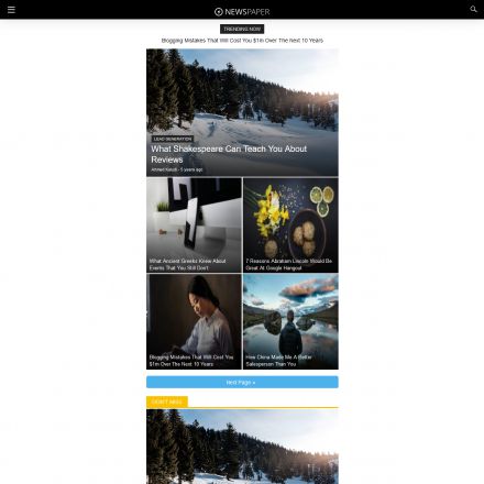 Newspaper Theme for AMP