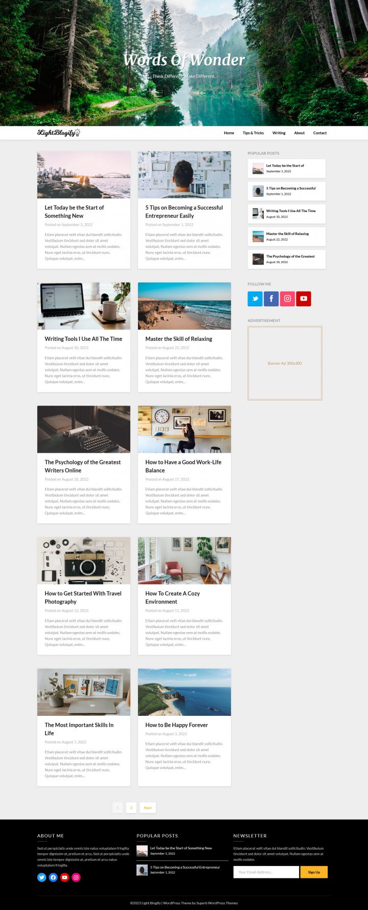 WordPress шаблон Superb Themes Light Blogify