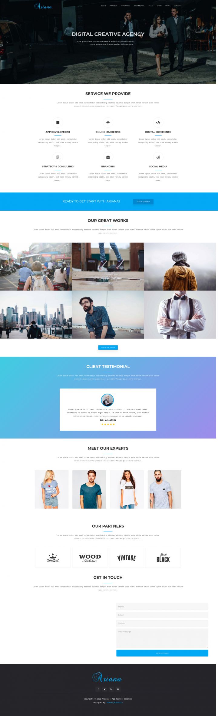 WordPress шаблон ThemeForest Ariana