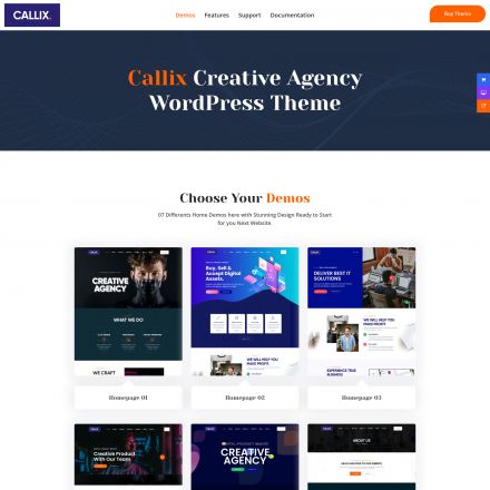 ThemeForest Callix