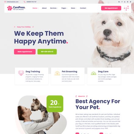 ThemeForest CarePress