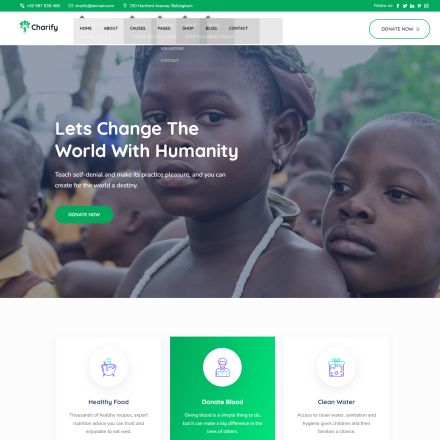 ThemeForest Charify