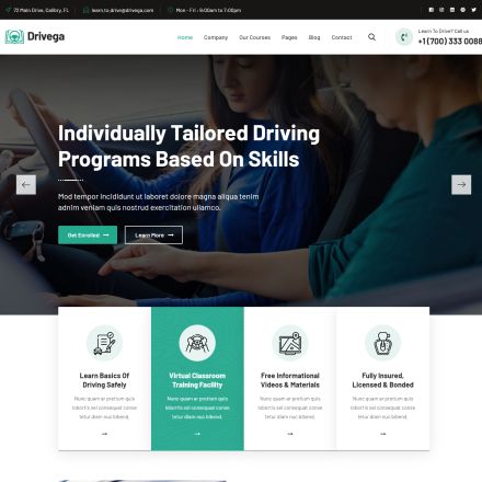 ThemeForest Drivega