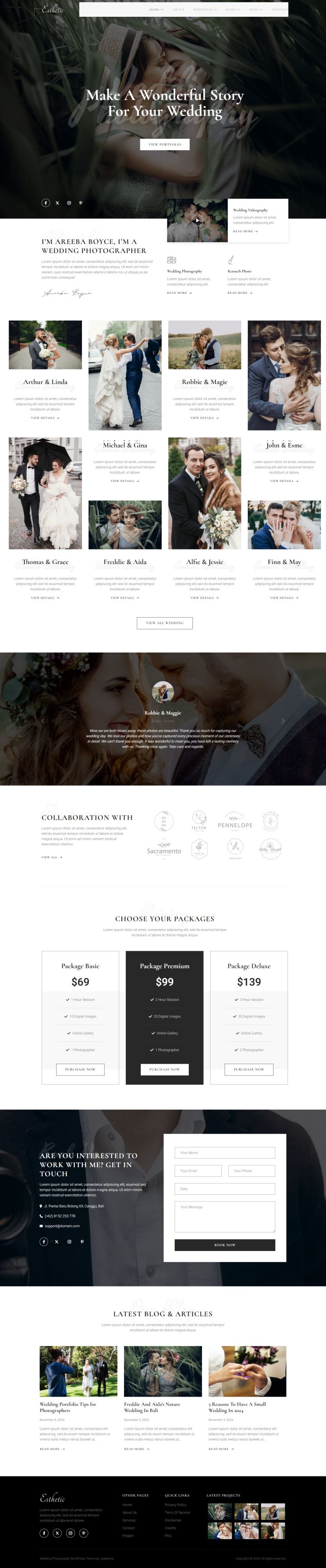 WordPress шаблон ThemeForest Esthetic