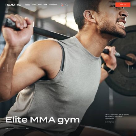ThemeForest Healthic
