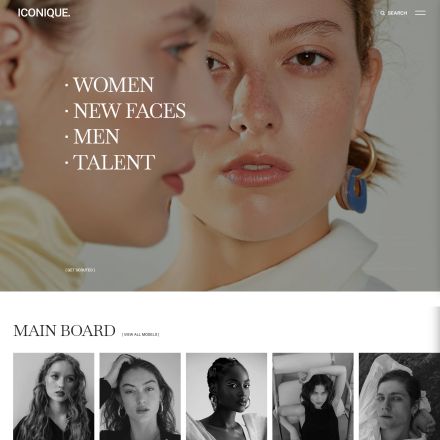 ThemeForest Iconique