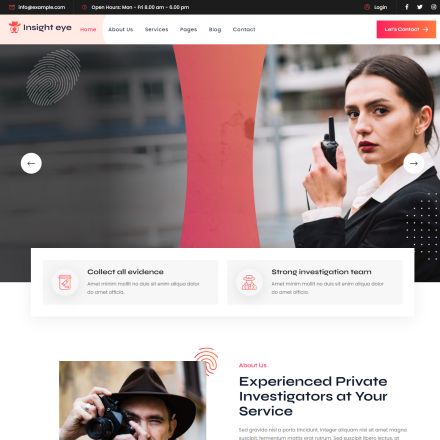 ThemeForest Insighteye