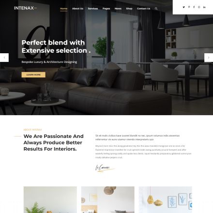 ThemeForest Intenax