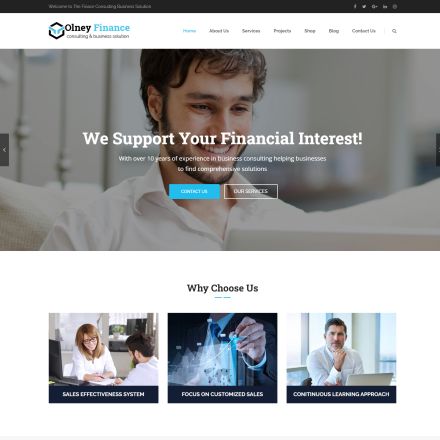 ThemeForest Olney Finance