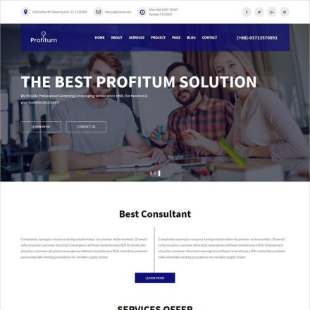 ThemeForest Profitum