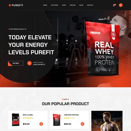 ThemeForest Purefit