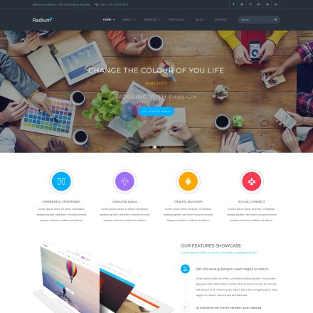 ThemeForest Radium