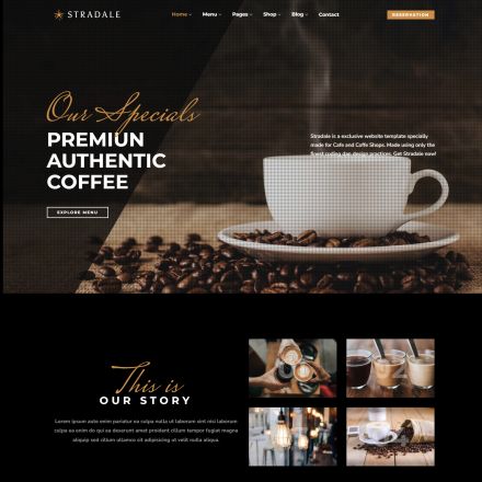 ThemeForest Stradale