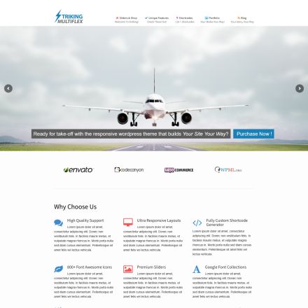ThemeForest Striking