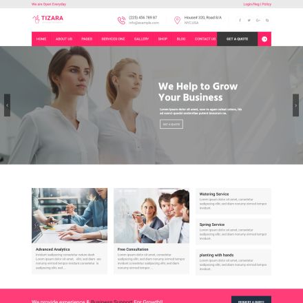 ThemeForest Tizara