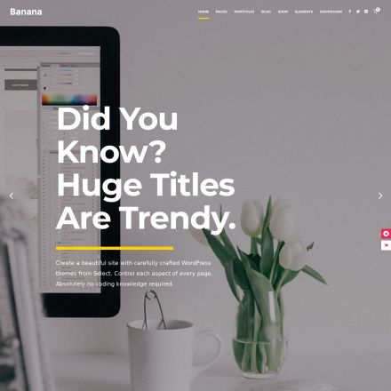 ThemeForest Capri