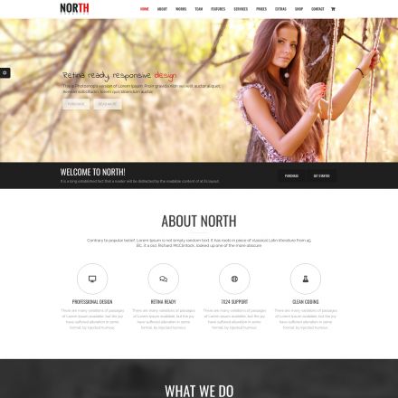 ThemeForest North
