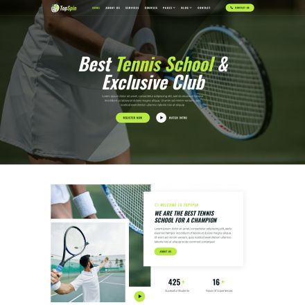 ThemeForest TopSpin