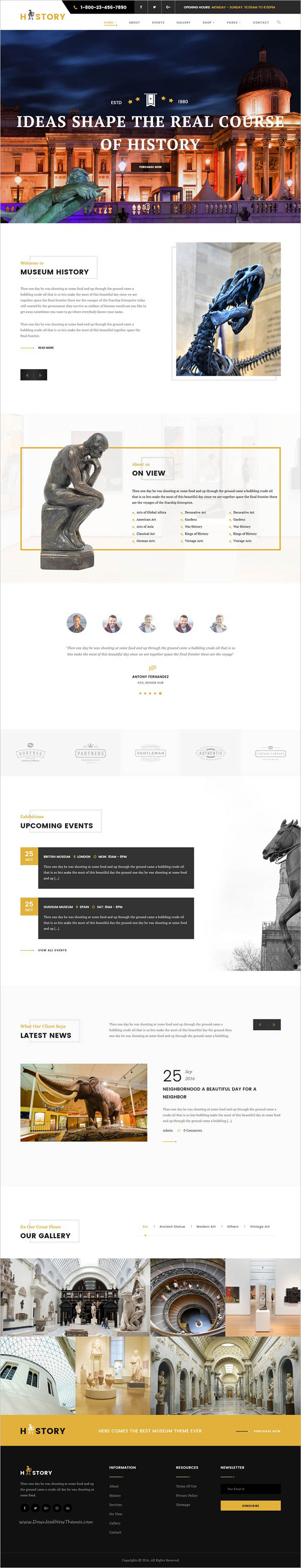 WordPress шаблон ThemeForest History