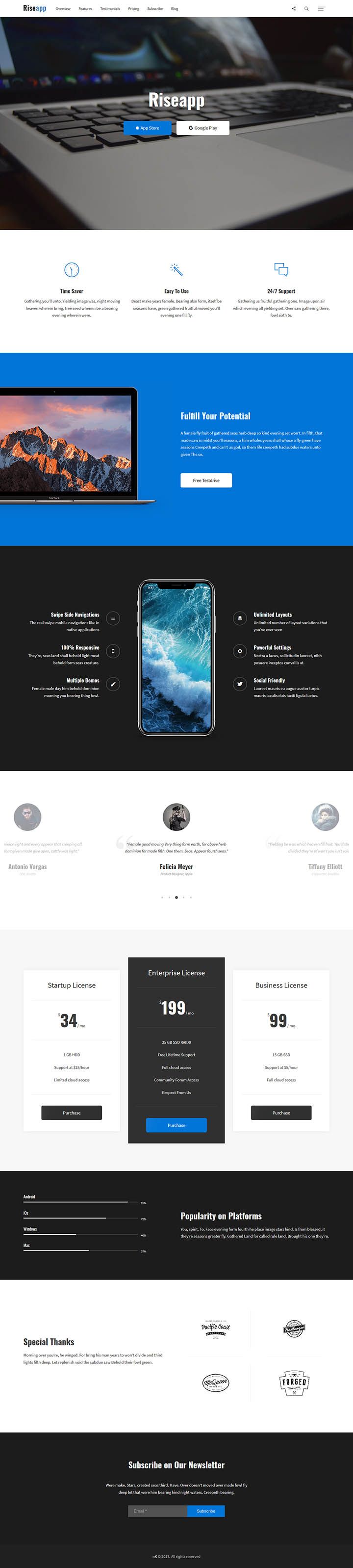 WordPress шаблон ThemeForest Riseapp