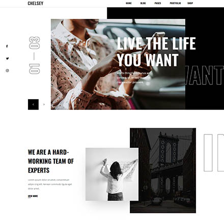 ThemeForest Chelsey