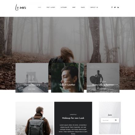 ThemeForest Lemars