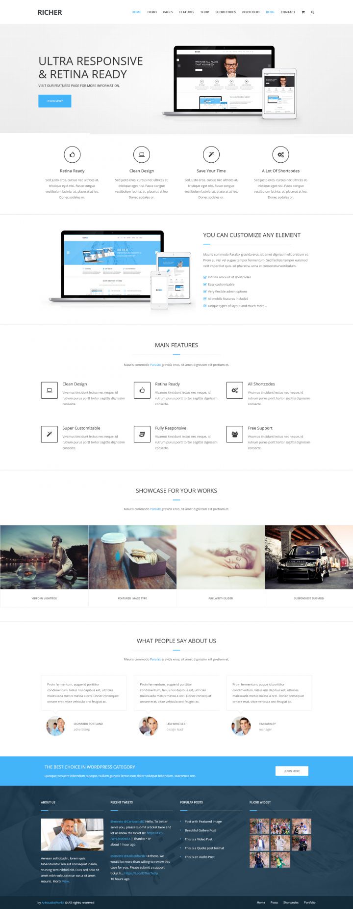 WordPress шаблон ThemeForest Richer