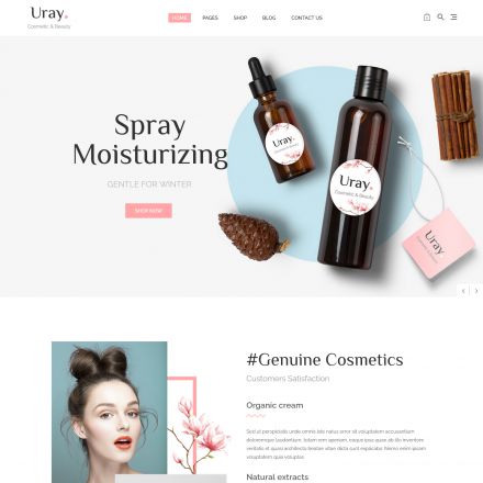 ThemeForest Uray