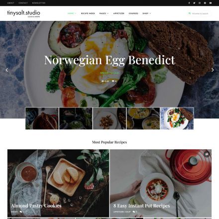 ThemeForest TinySalt