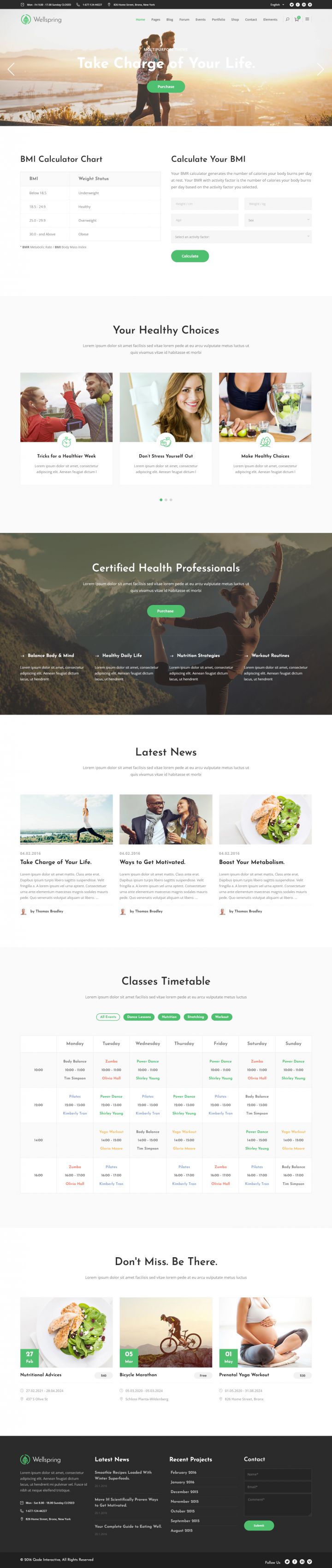 WordPress шаблон ThemeForest Wellspring