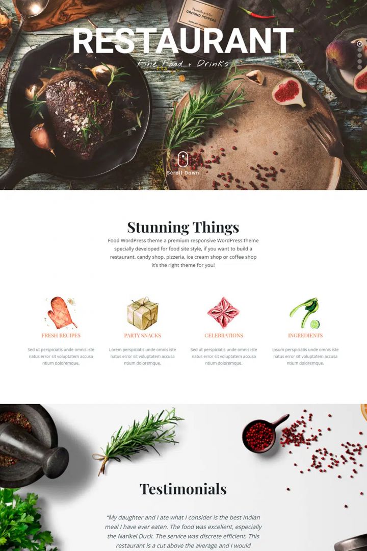 WordPress шаблон Visualmodo Food