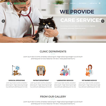 LTheme Anicare Onepage